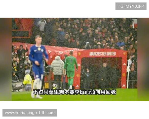 安德森加盟传闻推动曼联冬窗节奏加快，曼联安德森去哪里了